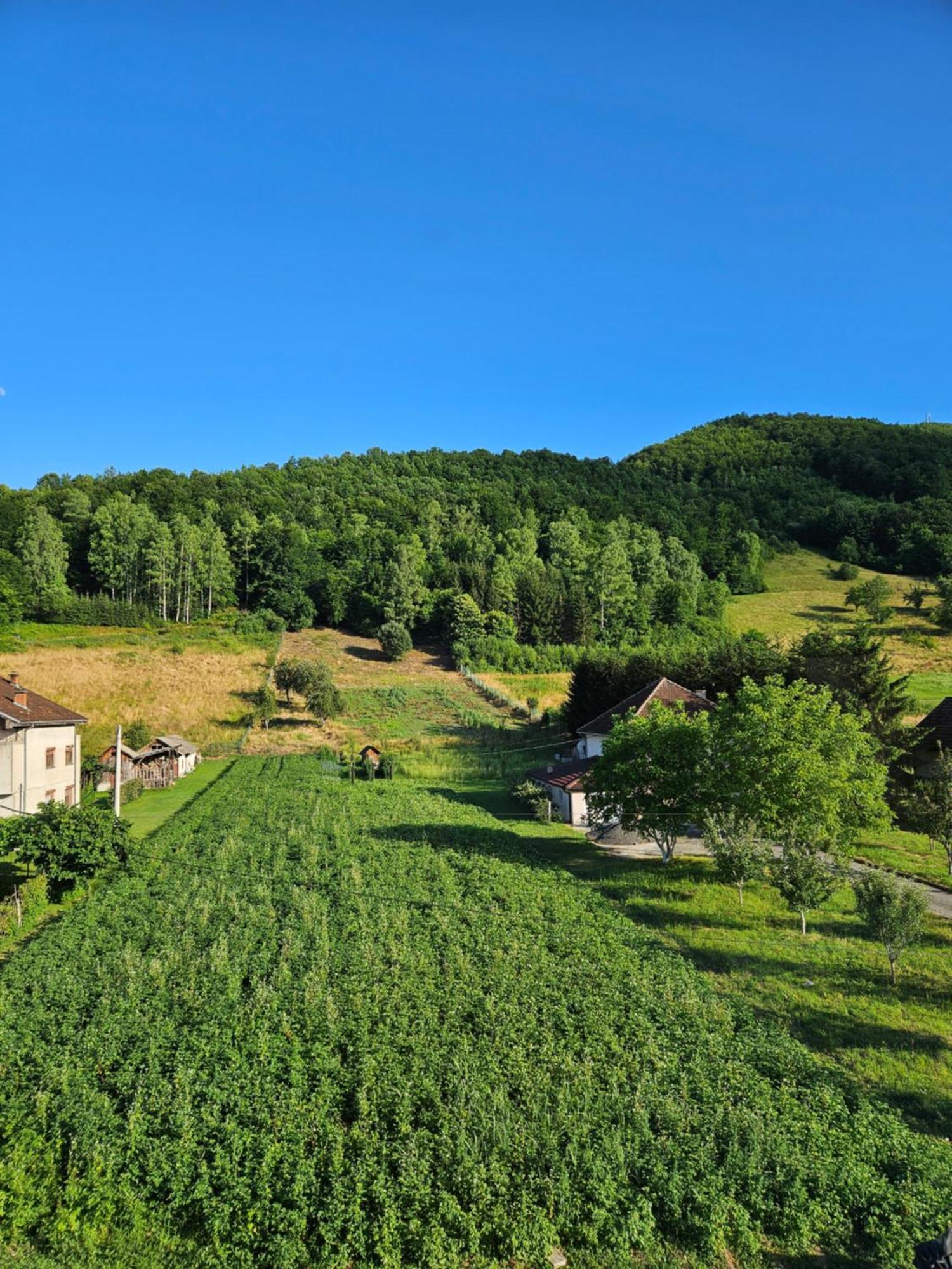 Apartmani Spa Bjelasica Bijelo Polje Exterior photo